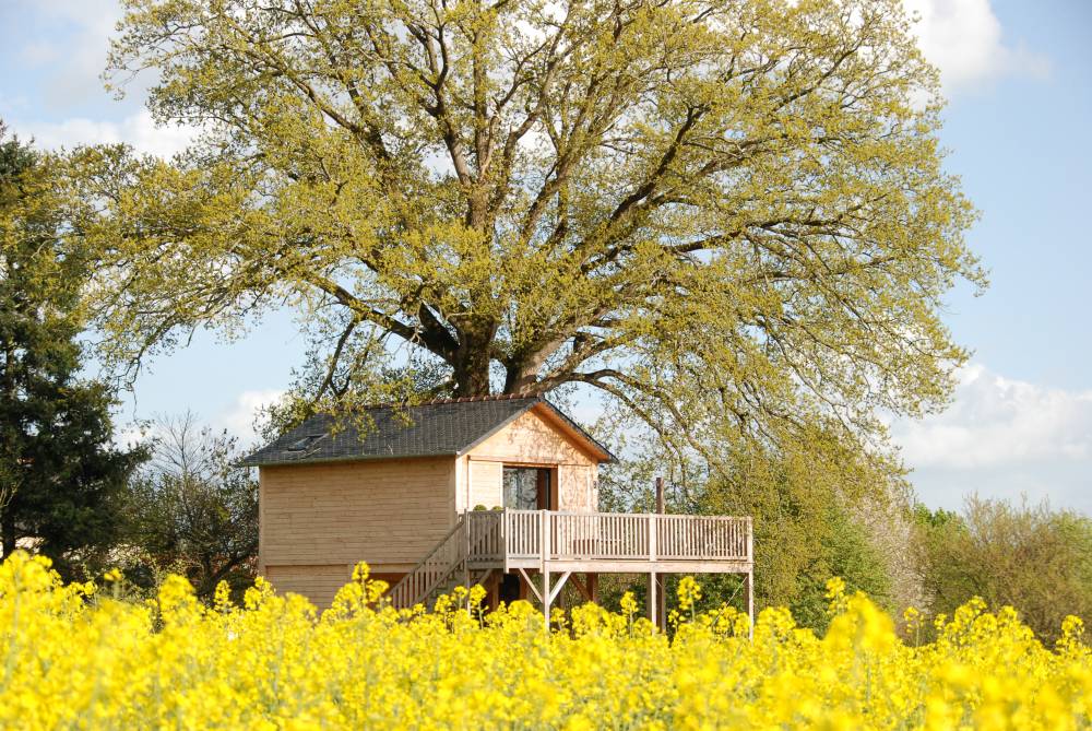 Cabane perchée Clé du Coeur la Bourousais35